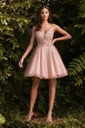 CD CD0190 - A-Line Homecoming Dress with Sheer Lace Embroidered Bodice & Layered Tulle Skirt