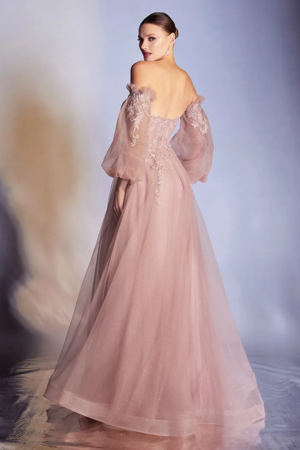 CD CD948 - Strapless A-Line Prom Gown with Sheer 3D Applique V-Neck Boned Bodice Removeable Puff Sleeves & Layered Luminescent Tulle Skirt