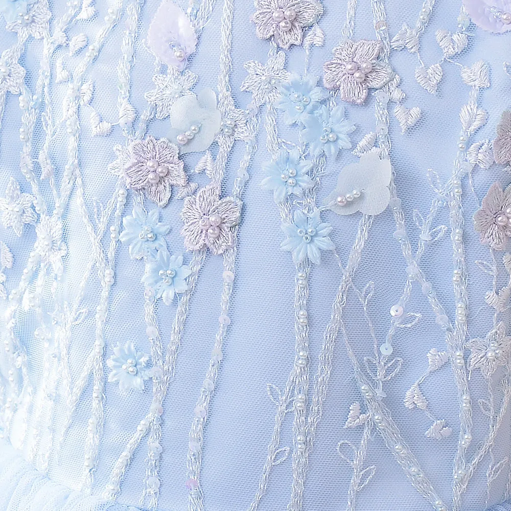 Girls Party Dress Lace Embroidery Blue