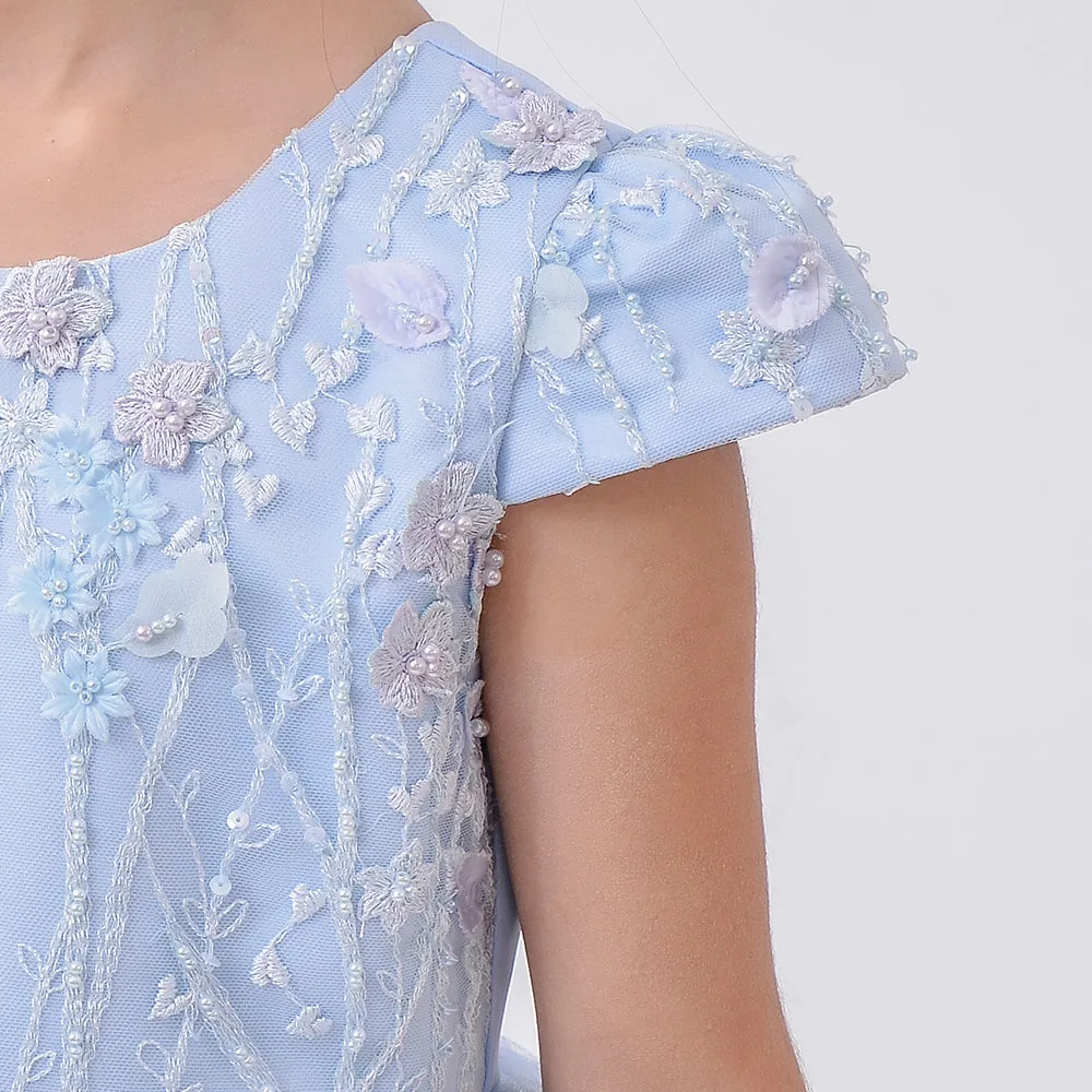 Girls Party Dress Lace Embroidery Blue