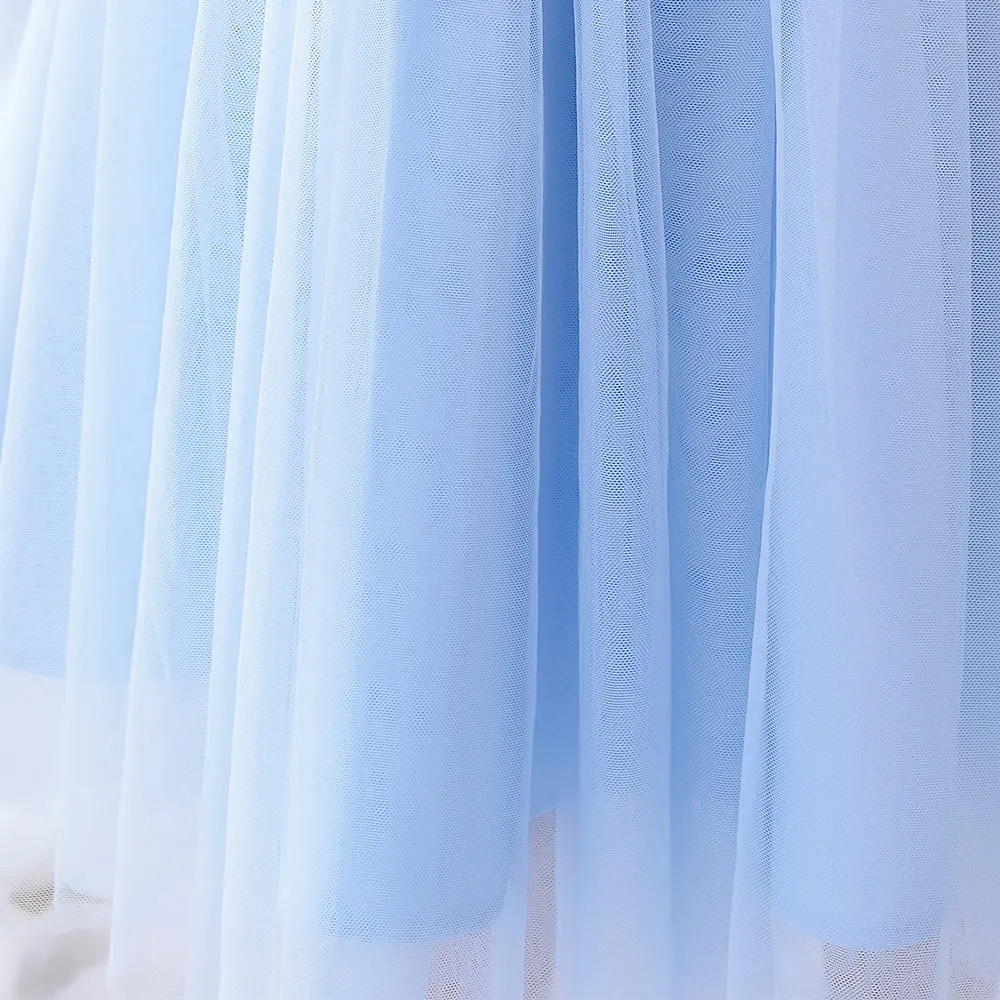 Girls Party Dress Lace Embroidery Blue