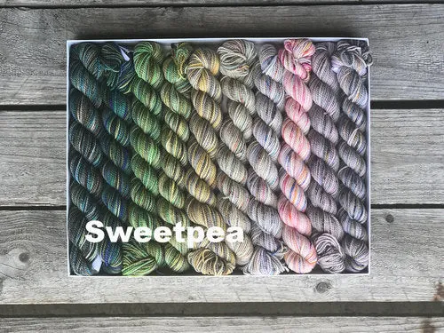 KPPPM (Koigu Painters palette Premium Merino) Pencil Box