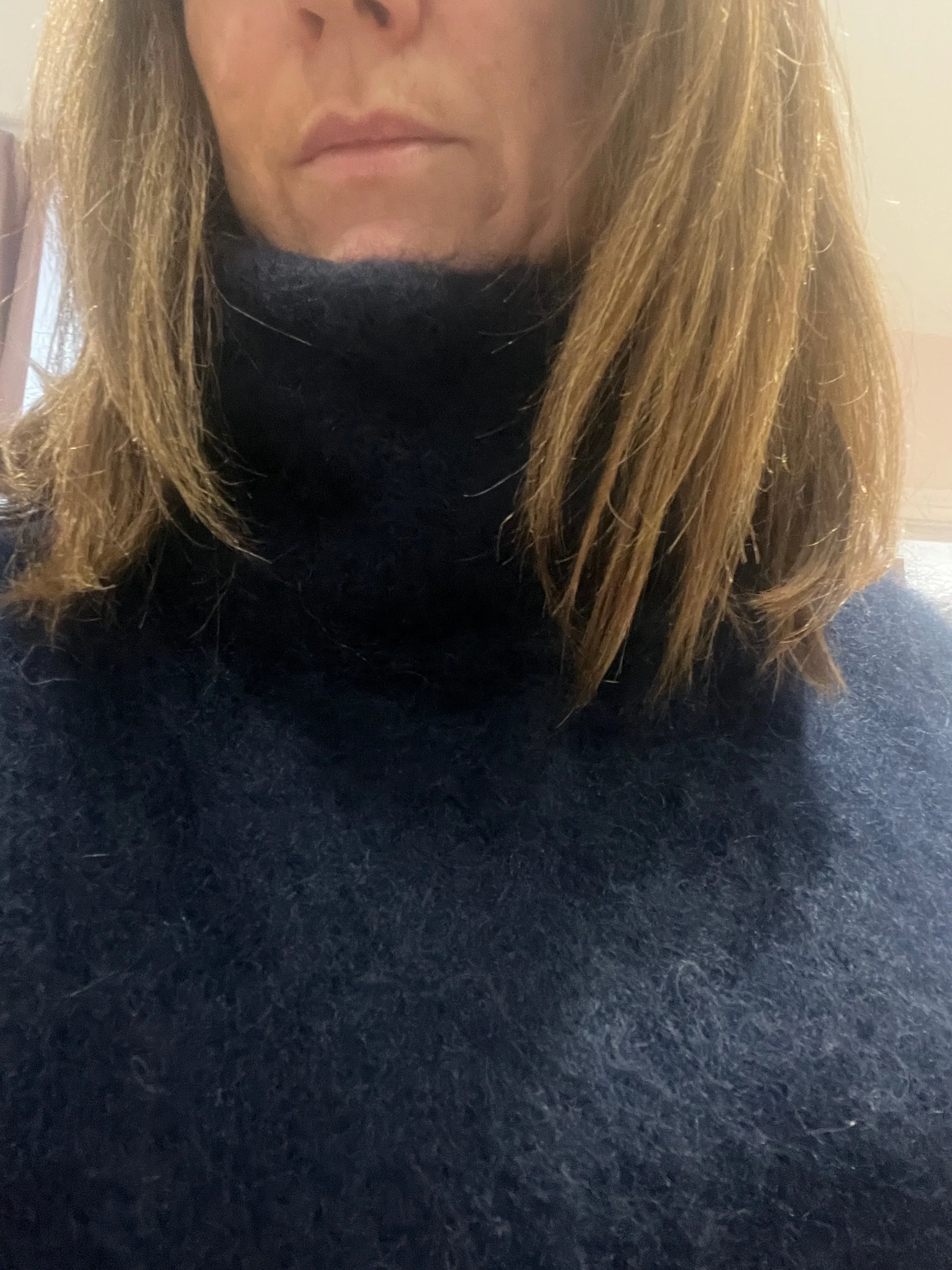 Lenora Kid Mohair Jumper